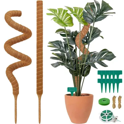 Image de Support pour plantes, 160 cm, couleur marron