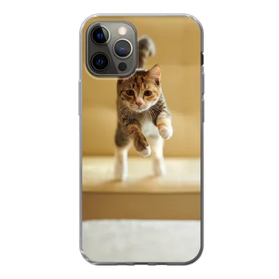 Produktbild von MuchoWow® Handyhülle Schutzhülle Hülle für iPhone 12 Pro Katze - Frühling - Stuhl Silikon Softcase Handy Hülle - Abdeckung