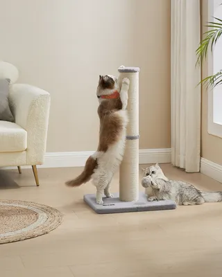 Produktbild von Feandrea Kratzbaum, Kratzsäule, 13 cm dicker Stamm, Kratzstamm für mittelgroße und große Katzen, mit Plüschball