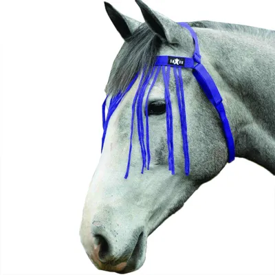 Image de Saxon - Franges mouche de cheval WB1533 (Poney) (Violet)