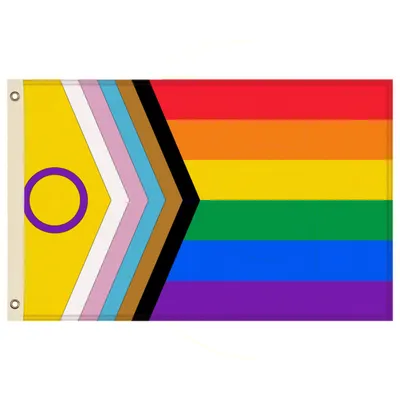 Produktbild von Progress LGBTQ+ Flagge 150x90cm mit Ösen