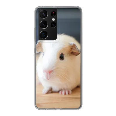 Produktbild von MuchoWow® Handyhülle Schutzhülle Hülle für Samsung Galaxy S21 Ultra Niedliches Baby-Meerschweinchen Silikon Softcase Handy Hülle - Mobiltelefon