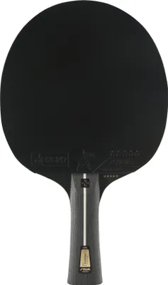 Produktbild von STIGA Pro Carbon+ Tischtennisschläger Professioneller mit Carbon-Technologie