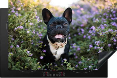Produktbild von KitchenYeah© Herdabdeckplatte Französische Bulldogge - Blumen - Lila , 81x52cm, Küche Deko, Glaskeramikkochfeld Herdabdeckung, Abdeckplatte fùr Kochfeld