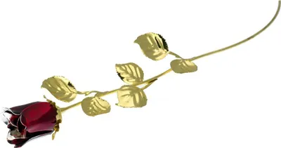 Immagine prodotto di Rosa grande in oro bordeaux con incisione | Dimensioni: 30 cm | Numero articolo: BG1765RR