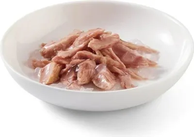 Produktbild von SCHESIR in jelly Tuna - nassfutter für Katzen – 85 g