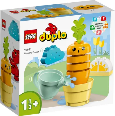 Zdjęcie produktu dla Uprawa marchwi