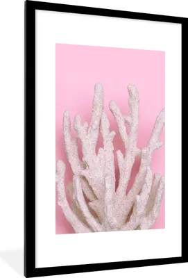 Produktbild von MuchoWow® Gerahmtes Poster Koralle - Rosa - Sommer 60x90 cm - Poster mit Schwarzem Bilderrahmen Wandposter Rahmen Foto Bilder - Dekoration - Wandposter Wohnzimmer - Hochwertig