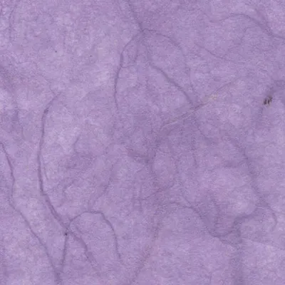Produktbild von Strohseide 0,7x1,5m 25 g/qm hell-lila