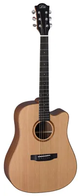 Produktbild von DUKE D-MC-CUT-SATIN Dreadnought
