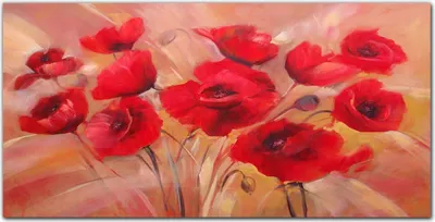 Produktbild von Coloray Bild aus Leinwand 100x50 Leinwand Dekoration - Blumen roten Mohnblumen