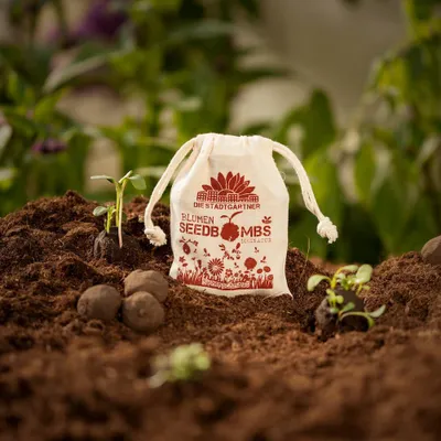 Produktbild von Seedbombs Bienenschmaus