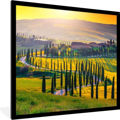 Produktbild von MuchoWow® Gerahmtes Poster Gras - Sonne - Hügel - Landschaft 40x40 cm - Poster mit Schwarzem Bilderrahmen Wandposter Rahmen Foto Bilder - Mit Rahmen - Wanddekoration Schlafzimmer