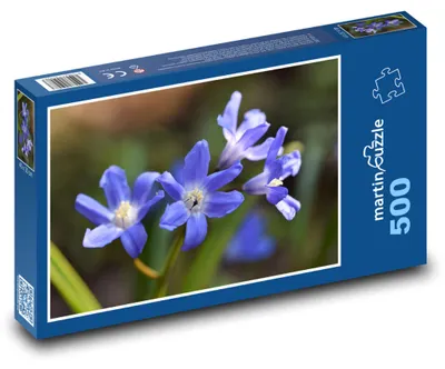 Produktbild von Puzzle 500 Blausternblume in Blüte - martinpuzzle