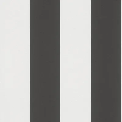 A close-up, full-frame shot of black and white vertical stripes.