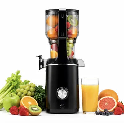 Produktbild von Rush Clear™ Slow Juicer für 1–2 Personen, 130mm Einfüllschacht, 800ml Saftbehälter, einfache Montage&Reinigung, ideal für kleine Küchen