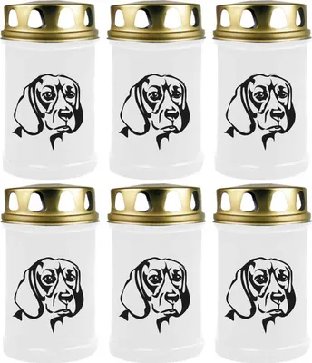 Produktbild von Grabkerze Weiß 6er Pack, Brenndauer: 48 Stunden ( je Kerze ), Motiv: Dackel