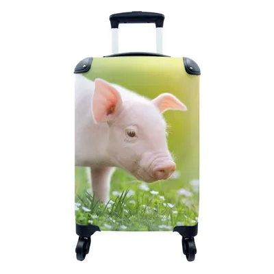 Produktbild von MuchoWow® Koffer Handgepäck Trolley Rollkoffer Kleine Reisekoffer mit 4 Rollen - Tiere - Ferkel - Schwein - Cabin Size < 55x40x23 cm & 55x40x20 cm - Fotokoffer - Kabinenkoffer - Boardgepäck - Reise-Box - Reisekoffer - Reisegepäck - Koffer mit Bild - Trolley für Kinder