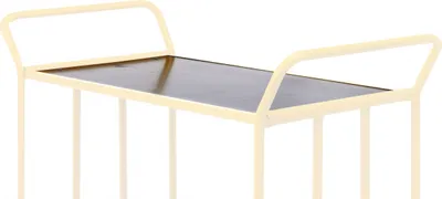 Produktbild von Kongamek Regaleinsatz 770x460x20mm als Zubehör für Plattformwagen