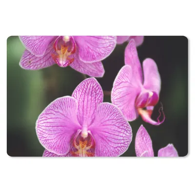 Produktbild von MuchoWow® Schreibtischunterlage Rosa Orchidee 60x40 cm - XXL Mauspad - Großes Mauspad