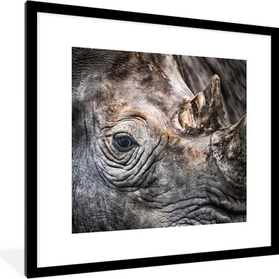 Produktbild von MuchoWow® MuchoWow® Gerahmtes Poster Nahaufnahme Nashorn 40x40 cm - Poster mit zchwarzem Bilderrahmen - Poster - Plakat im Rahmen