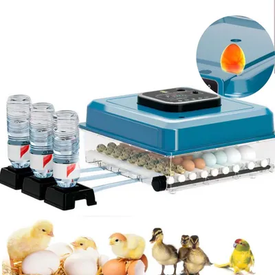 Produktbild von Brutautomat Vollautomatisch, 72 Eier Inkubator mit Automatischem Eierwenden Temperaturregelung für Hühner, Enten und Tauben,Blau