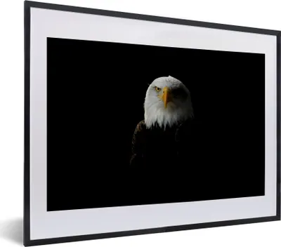 Produktbild von MuchoWow® MuchoWow® Gerahmtes Poster Ein Porträt eines Weißkopfseeadlers 40x30 cm - Poster mit zchwarzem Bilderrahmen - Bilderrahmen - Poster im Rahmen