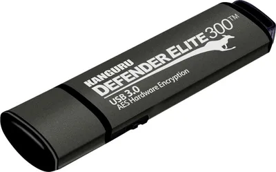 Image de iStorage Kanguru Defender Elite300, 16 Go, 16 Go, USB Type-A, 3.2 Gen 1 (3.1 Gen 1), Capuchon, 12 g, Noir, Gris