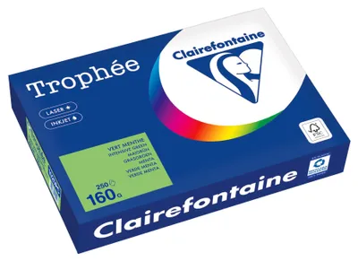 Produktbild von mondi MAESTRO color Kopierpapier - DIN A4 - 160 g/m² - 250 Blatt - lindgrün LG46
