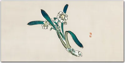 Produktbild von Coloray Küchenrückwand 140x70 Spritzschutz aus Glas - asiatische Blumen