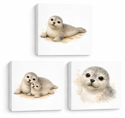 Produktbild von Robben Charme 3er Set Holzbilder in 20x20 cm zum Stellen oder Aufhängen er 3er
