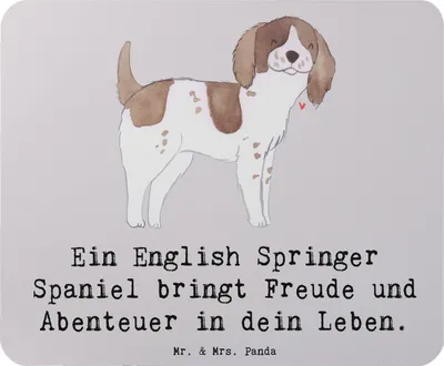 Produktbild von Mr. & Mrs. Panda Mouse Pad English Springer Spaniel Freude - Grau Pastell - Geschenk, pc mousepad, Hund, treue Begleiter, Hundeliebhaber, mauspad laptop, Jagdhund, treuer