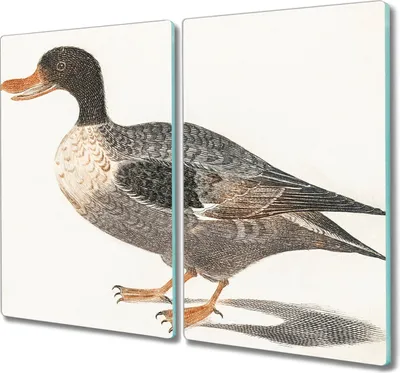 Produktbild von Coloray Kochplattenabdeckung Herdabdeckplatte 2x30x52 cm Hackbrett Schneidebrett Küchenbrett - Vogel Ente