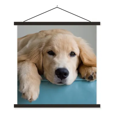 Produktbild von MuchoWow® Textilposter Ein liegender Golden Retriever 120x120 cm mit schwarzem Rahmen - Aufhängungsset