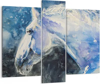 Produktbild von Bild auf Leinwand - Leinwandbild - 3 Teile - Pferd Aquarell Porträt - 95x80cm - Wand Bild - Wanddeko - Wandbilder - Leinwanddruck - Bilder - Wanddekoration - Leinwand bilder - Wandbild - CB95x80-4272