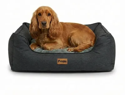 Produktbild von Pebble Hundebett 71 x 58 cm – Hundekorb mit erhöhtem Rand und Wendekissen, waschbar, Oxford-Gewebe, Grau (M)