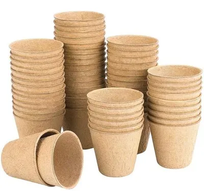 Image de Pots de culture biodégradables pour sauge - ronds - 8 cm - 50 pièces - Pots de culture pour sauge