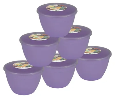 Immagine prodotto di Set di 6 ciotole in plastica per budino con coperchio