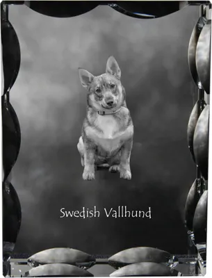 Obrázek produktu pro Art-Dog Fotorámeček – Švédský valhund