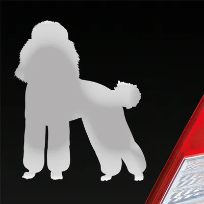 Produktbild von Auto Aufkleber süsser Pudel Hund Dog Tier niedlich Puppy 8x10 cm Silber Sticker Heckscheibenaufkleber