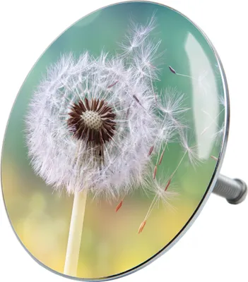 Produktbild von SANILO® Badewannenstöpsel Pusteblume