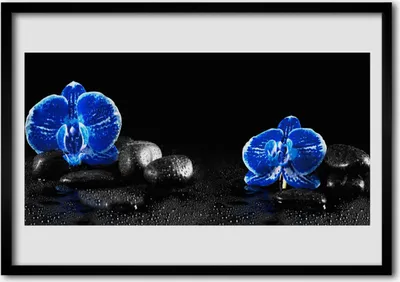 Produktbild von Bild 100x70 MDF-Rahmen Wandkunst Stein Blume Pflanze
