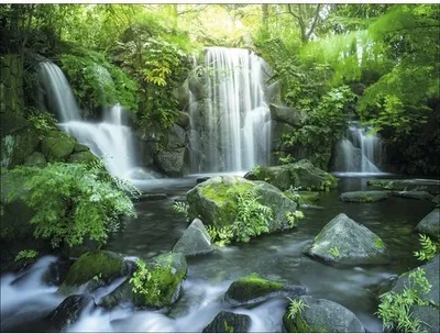 Produktbild von Leinwandbild Forest & Waterfall I 77x57 cm