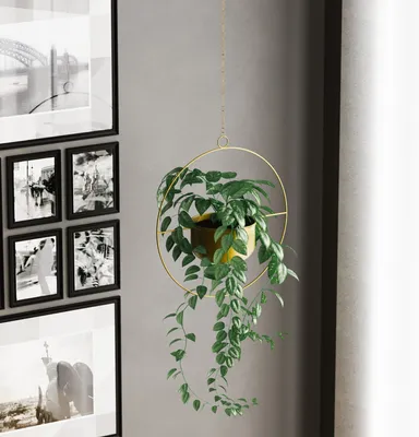 Image de MOB, Pot décoratif - Paradota (or)