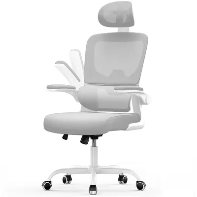 Image de Chaise de bureau ergonomique, hauteur d'assise de 53 cm, avec soutien lombaire élastique, Gris