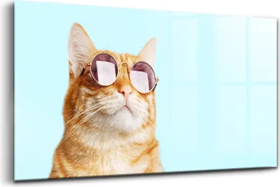 Produktbild von 120x60 - Glasbilder - Bilder auf Wandbild - Foto auf Glas - Lustige Katze mit Sonnenbrille