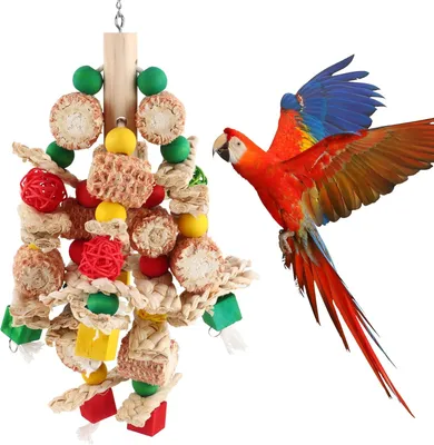 Image de Jouet coloré pour oiseaux, suspendu, fabriqué en bois naturel et en grains de maïs, idéal pour les perroquets et les petits oiseaux
