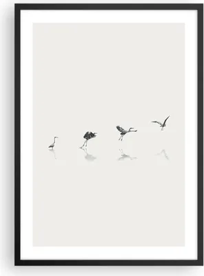Produktbild von Gerahmtes Poster - Schwarzer Rahmen - Flug Vogel Reiher - 50x70 cm - Wand Bild - Wanddeko - Wandbilder - Kunstposter - Wandposter - Bilderrahmen - Bilder - Kunstdruck - P2BPA50x70-5096