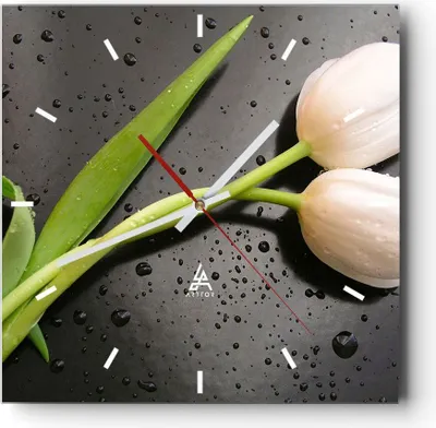 Produktbild von Wanduhr - Quadrat - Glasuhr - Tulpen Blume Pflanzung Pflanze - 40x40cm - Schleichendes Uhrwerk - Lautlos - zum Aufhängen bereit - Dekoration Modern - Wanddekoration aus Glas - C3AC40x40-2301