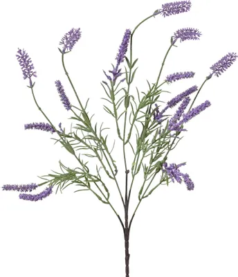 Produktbild von Künstlicher Lavendel Zweig 20x70cm Kunststoff Lila Grün